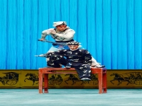 河南省京劇藝術(shù)中心(河南省京劇藝術(shù)中心趙麗簡介)