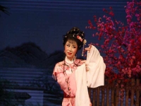 人面桃花評(píng)劇全劇(評(píng)劇人面桃花劇情簡(jiǎn)介)