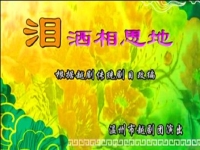 越劇淚灑相思地全集(越劇淚灑相思地全集原版上海)