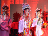 黃梅戲女駙馬洞房完整視頻(黃梅戲女駙馬洞房完整視頻播放)