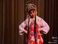 戲曲藝術的審美特征(戲曲藝術的審美特征之一是真實性)