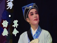 越劇何文秀冤獄(越劇何文秀冤獄觀后感)