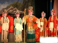 京劇還有什么劇種(京劇還有什么劇種呢)