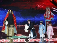 京劇孟廣孟廣祿的探陰山伴奏的簡單介紹