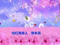 粵劇寶玉哭晴雯(粵劇馮剛毅寶玉哭晴雯)