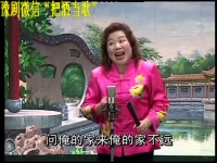胡中花演唱的河南墜子(胡中花演唱的河南墜子全集拉荊芭)