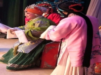 鶴壁市豫劇團(tuán)團(tuán)長(zhǎng)(鶴壁豫劇團(tuán)全體演員名單)