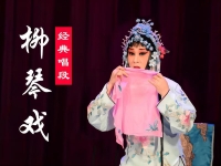 關于戲劇下載mp4戲曲包的信息