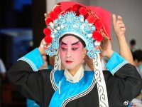 墜子戲全場戲大全(墜子戲全場戲大全收聽)