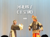 河北梆子是什么(河北梆子是什么體)