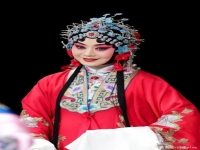 京劇本應當李勝素(京劇本應當李勝素唱教程)
