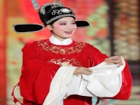 黃梅戲八位名家大聯唱(黃梅戲經典大聯唱八位名家)