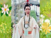 越劇紅樓夢想當初簡譜(越劇紅樓夢想當初歌詞歌曲)