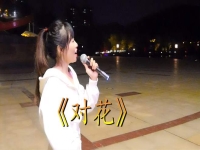 關于對花是黃梅戲什么的選段的信息