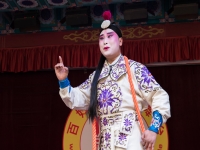 評劇打金枝完整版(評劇打金枝完整版視頻)