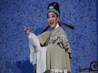 陸游與唐婉越劇(陸游與唐婉越劇浪跡天涯唱詞)