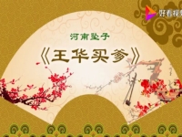 河南墜子回龍傳后傳1到8集的簡單介紹