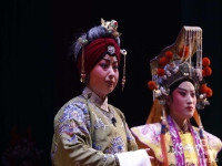 戲曲貍貓換太子全場戲(戲曲貍貓換太子續(xù)集簡介)