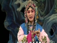 秦腔《花亭相會(huì)》(秦腔花亭相會(huì)全本叫什么名字)