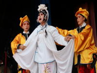 秦腔譚天杏簡介(譚天杏秦腔2019年在秦安演唱秦腔游西湖)