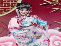 楚劇四下河南選段(楚劇四下河南選段為娘我)