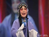 張寶英的豫劇經(jīng)典唱段集錦桃花庵(張寶英的桃花庵豫劇張寶英的桃花庵全本)