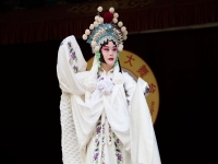 京劇白蛇傳親兒的臉(京劇白蛇傳親兒的臉教唱3)
