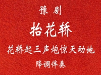 豫劇抬花轎全場戲宋桂玲(豫劇抬花轎全場戲宋桂玲唱段)