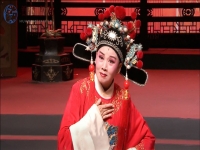 哪個黃梅戲最有名(哪些黃梅戲比較好看)