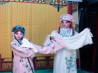 任哲中秦腔戲曲大全(秦腔表演藝術家任哲中)