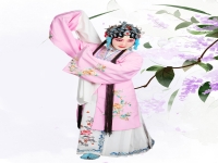 京劇的藝術(shù)特點(diǎn)是什么(京劇的藝術(shù)特點(diǎn)主要包括)