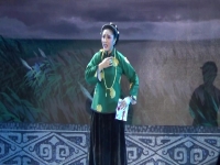 王志豪淮劇唱段(淮劇王志豪個人演唱會)