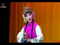 京劇賣水唱段念白(京劇賣水唱段念白表花名)