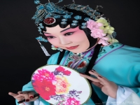 京劇青衣的特點(京劇中的青衣是最重要的角色)