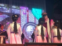 越劇小生陳亞芬哪里人(越劇演員陳亞芬去哪越劇團啦)