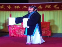陜西秦腔蘇武牧羊(陜西秦腔名家經(jīng)典唱段蘇武牧羊)