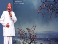 曲劇喜慶的唱段(曲劇歡快喜慶選段)