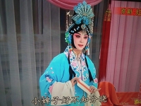 京劇紅娘小姐你多風(fēng)采(京劇紅娘小姐你多風(fēng)采唱詞)