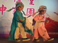 陳子心陳可心越劇(陳子心陳可心越劇紅樓夢)