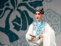 河南墜子趙翠英長(zhǎng)篇墜子(河南墜子趙翠英長(zhǎng)篇墜子近代史)