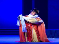 越劇十八個為他淚灑相思地(越劇十八個為他淚灑相思地西湖公園戲迷)