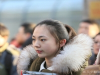 北京市戲劇學(xué)院(北京市戲劇學(xué)院高考錄取分?jǐn)?shù))