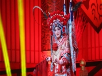 秦腔楊家將全本(秦腔楊家將全本演員)