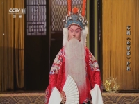 楊少彭京劇演唱會(京劇楊少彭打虎上山換裝)