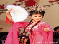 正宗安徽廬劇大全(我想看安徽廬劇大全)