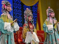 晉劇貍貓換太子(晉劇貍貓換太子第二本免費(fèi))