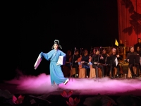 黃梅戲名家演唱會(黃梅戲名家名段演唱會)