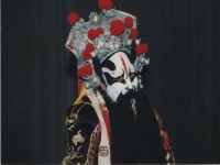 秦腔花臉名家(秦腔花臉名家張?zhí)m秦下河?xùn)|)
