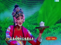 秦腔打金枝背舌(秦腔打金枝背舌折子戲)