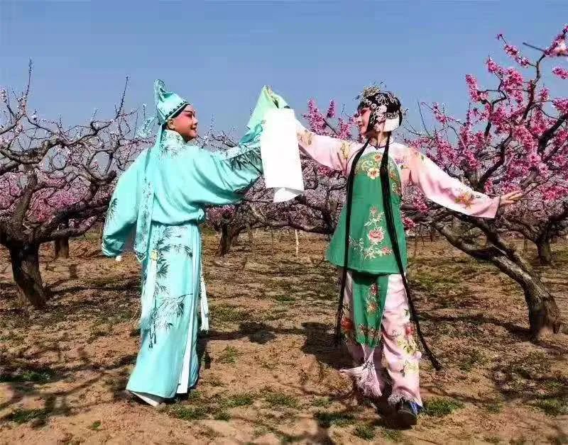 秦腔桃花媒_秦腔不唱吼起來圖片_人面桃花秦腔原唱